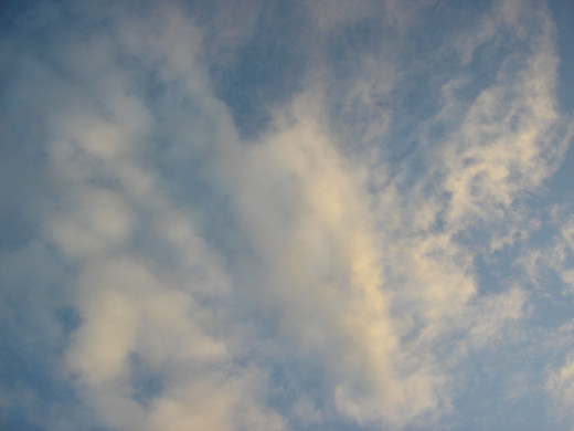 37554 (a): :2048x1536
